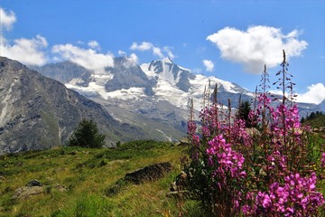 paysages du Grand Paradis vus d'Orvielle, Val d'Aoste