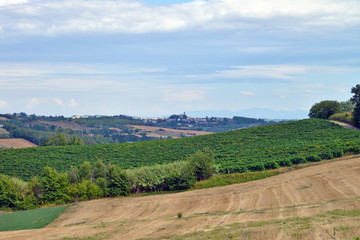 Obraz premium panorama del Monferrato, Piemonte, Italia