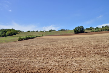 Fototapeta na wymiar panorama del Monferrato, Piemonte, Italia