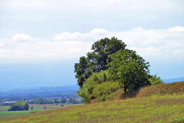 panorama del Monferrato, Piemonte, Italia