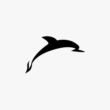 Vector dolphin logo