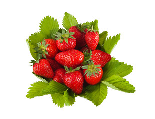 Strawberries group with leaves