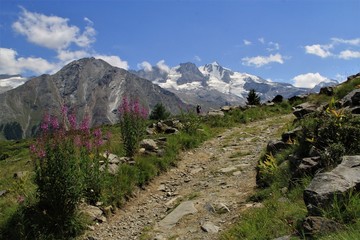 Gand Paradis vus d'Orvieille, Valsavarenche, Italie