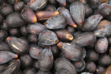 Common fig fruits lay on the counter