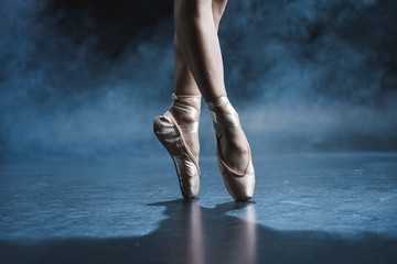 ballet dancer in pointe shoes - obrazy, fototapety, plakaty