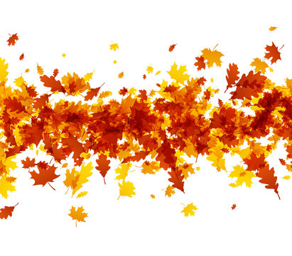 Autumn background with orange leaves.