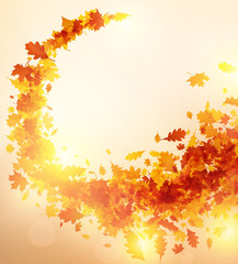 Naklejka na ściany i meble Autumn background with golden leaves.