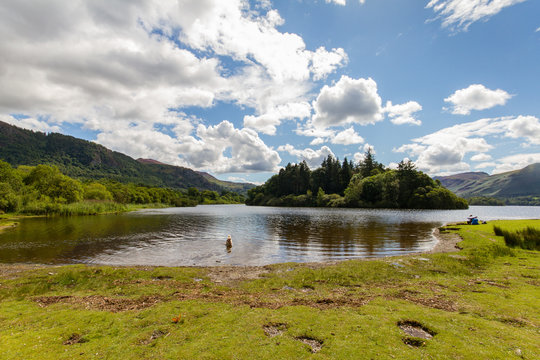 Derwnt Water Lake With Swimming Dog, Keswick, Cumbria, UK