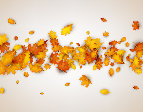 Autumn background with orange leaves.