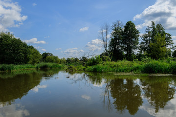 Fototapeta na wymiar Landscape with trees reflection in water