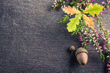 Single oak acorn and leaves among heather on gray wooden cracked background.