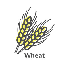 Wheat ears thin line vector icon. Isolated wheat agriculture linear style for menu, label, logo. Simple vegetarian food sign.