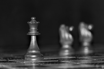 Scacchi fotografati su una scacchiera