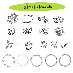 Vector floral with leaves, branches, circle plant elements