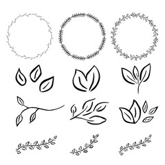 Vector floral with leaves, branches, circle plant elements