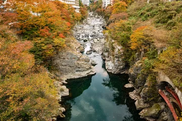 Fototapeten Wald Fluss Autumn tourism season, Kinugawa Onsen Japan  © T.Yokoyama