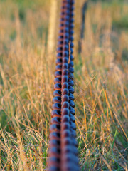 An old rusty chain running through the frame with a shallow depth of field.