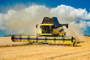 Fototapeta premium Combine harvester at the grain harvest - 9864