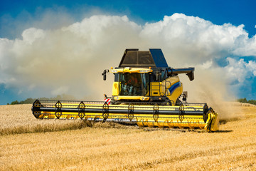 Combine harvester at the grain harvest - 9864