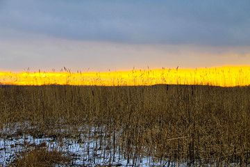 Sunset on the winter meadow