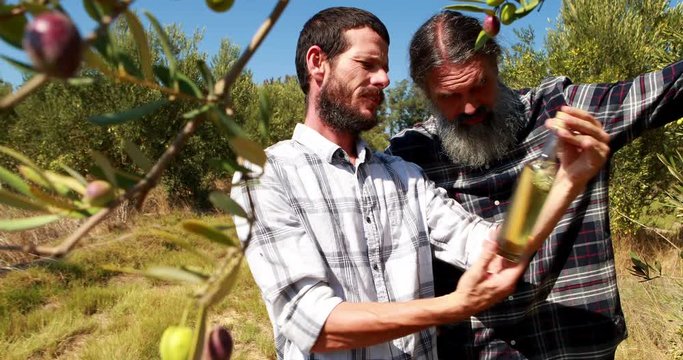 Friends examining olive oil in farm 