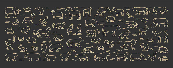 Gold line web banner for animals