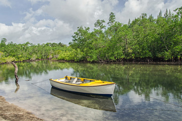 A lonely boat on the lake in the forest, Mahe, Seychelles
