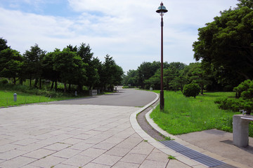 公園の散歩道