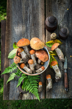 Various wild mushrooms collected in the autumn