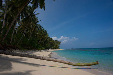 Mentawai paradise