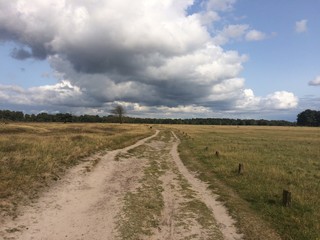 Fototapeta premium Unwetter über Sandweg