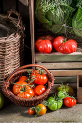 Old basement with harvested vegetables and fruits