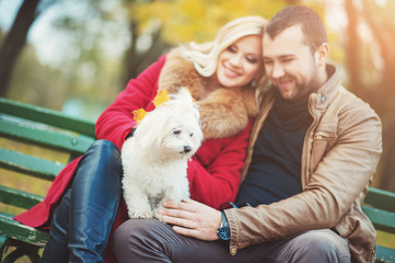 Great time for walk! Beautiful family couple with white cute Maltese dog spending time in autumn park. Man and woman have fun with their pet terrier. Family, animal, life, people, seasonal concepts.