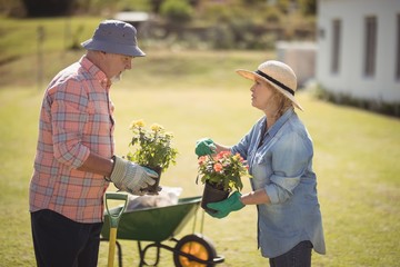 Senior couple interacting while gardening in garden