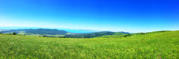 Fototapeta premium Panorama summer flower meadow in the mountains, tourism. Beautiful sea view landscape. Fresh green rural meadows on a sunny day with blue sky. Scenery view ocean