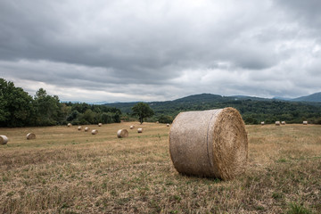 champs apr&egrave;s la moisson