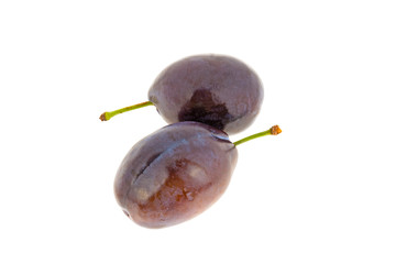 Two blue plums on white background