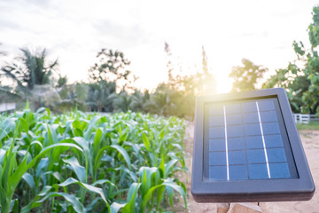 Mini solar energy used to grow plant , Solar energy panels , smart farm technology concept