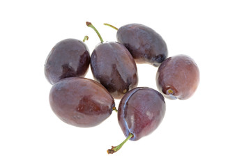 Blue plum on white background