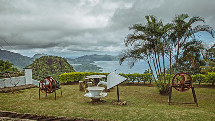 Lawn at the tea factory in the Seychelles