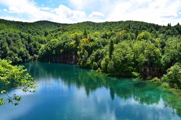 Fototapeta premium water reflection of trees in beautiful lake 