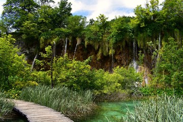 wooden footpath on lake in forest 