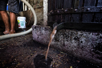 Obraz premium Harvest