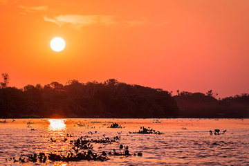 Pôr do sol no Pantanal