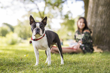 woman with terrier dog outside at the park