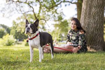 woman with terrier dog outside at the park