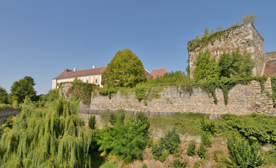 Fototapeta na wymiar Medieval town wall and castle Drosendorf