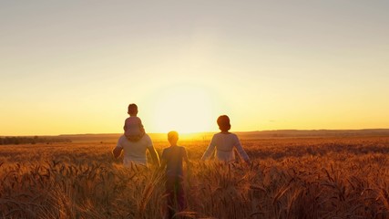 happy family is walking along the wheat field at sunset.