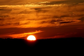 Abendsonne versinkt im Wald