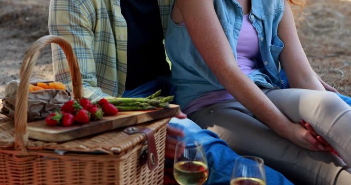 Couple having wine in olive farm 
